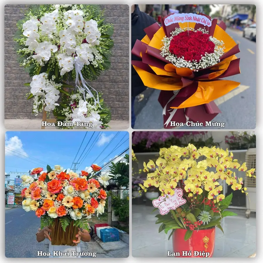 Mẫu hoa phục vụ nhu cầu đặt hoa tại Xã Triệu Sơn - Tỉnh Thanh Hóa