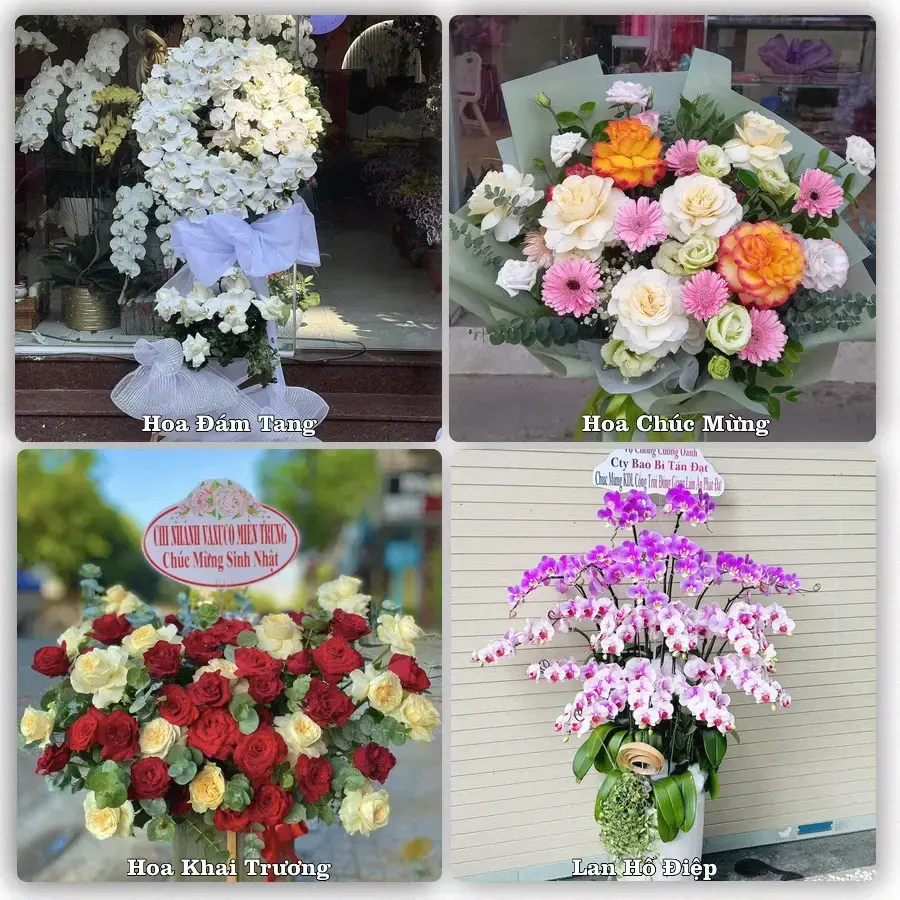 Tư vấn chọn hoa theo người nhận và dịp tặng tại Xã Triệu Sơn - Tỉnh Thanh Hóa