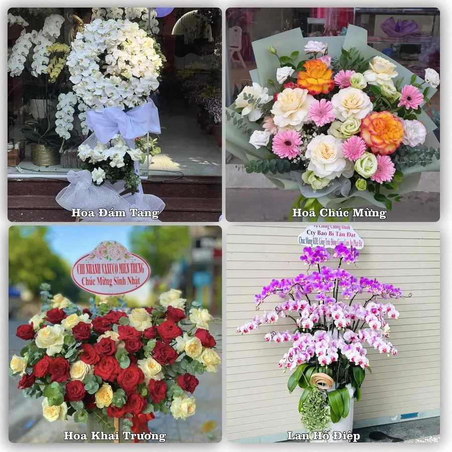Tư vấn chọn hoa theo người nhận và dịp tặng tại Xã Triệu Sơn - Tỉnh Thanh Hóa