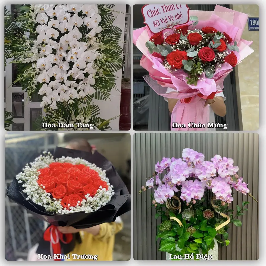 Dịch vụ đặt hoa và giao tận nơi tại Xã Trường Tân - Thành phố Hải Phòng