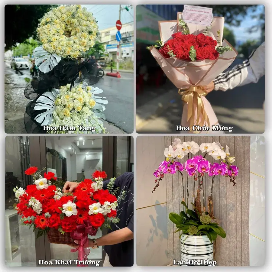 Tư vấn chọn hoa theo người nhận và dịp tặng tại Phường Uông Bí - Tỉnh Quảng Ninh
