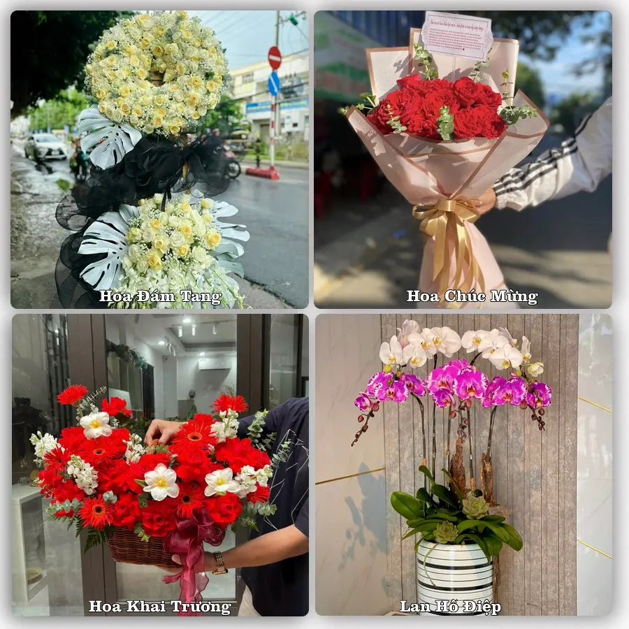 Tư vấn chọn hoa theo người nhận và dịp tặng tại Phường Uông Bí - Tỉnh Quảng Ninh