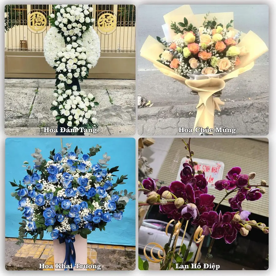 Mẫu hoa phục vụ nhu cầu đặt hoa tại Phường Bến Tre - Tỉnh Vĩnh Long