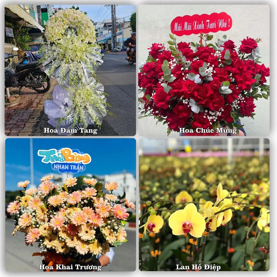 Tư vấn chọn hoa theo người nhận và dịp tặng tại Phường Bến Tre - Tỉnh Vĩnh Long