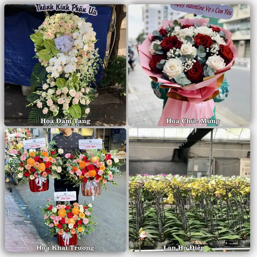 Mẫu hoa phục vụ nhu cầu đặt hoa tại Phường Bình Định - Tỉnh Gia Lai