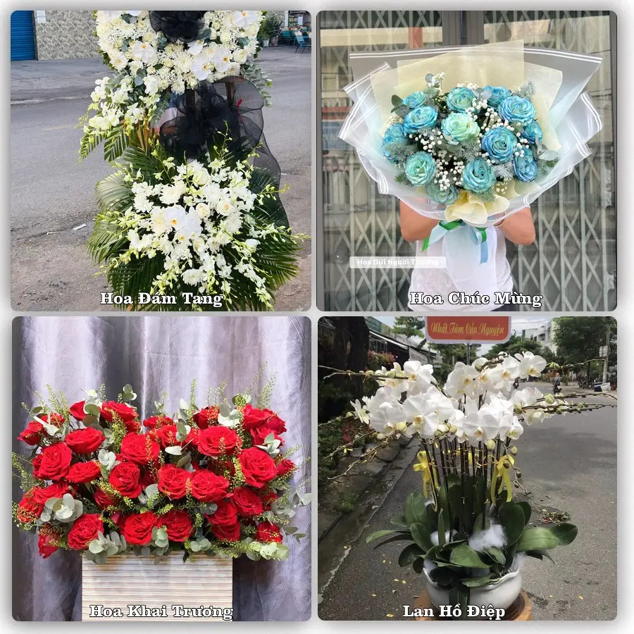 Tư vấn chọn hoa theo người nhận và dịp tặng tại Xã Châu Phong - Tỉnh An Giang