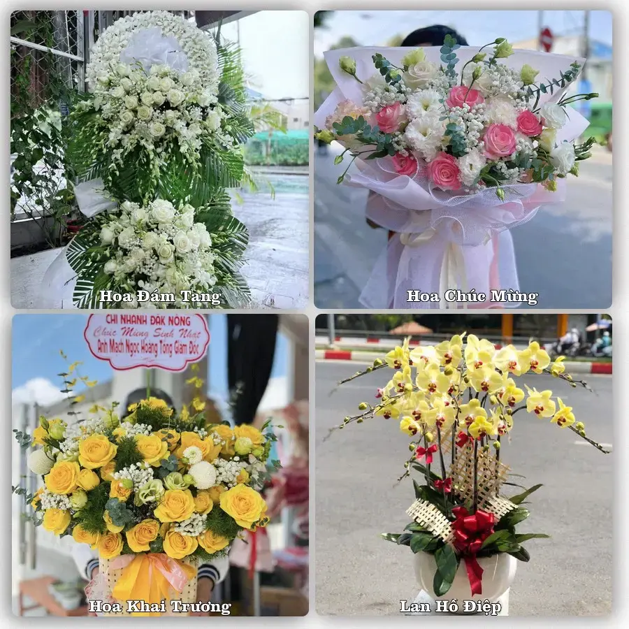 Mẫu hoa phục vụ nhu cầu đặt hoa tại Xã Đồng Sơn - Tỉnh Đồng Tháp