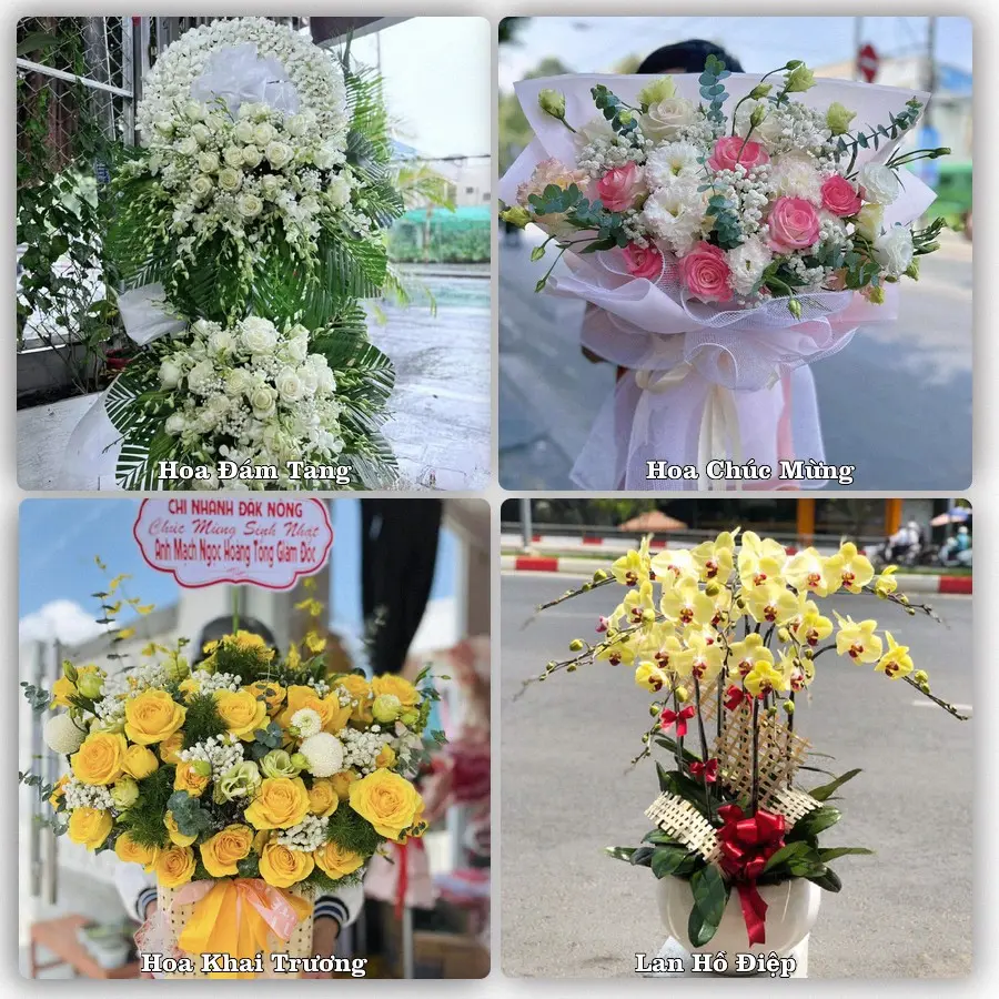 Mẫu hoa phục vụ nhu cầu đặt hoa tại Xã Đồng Sơn - Tỉnh Đồng Tháp