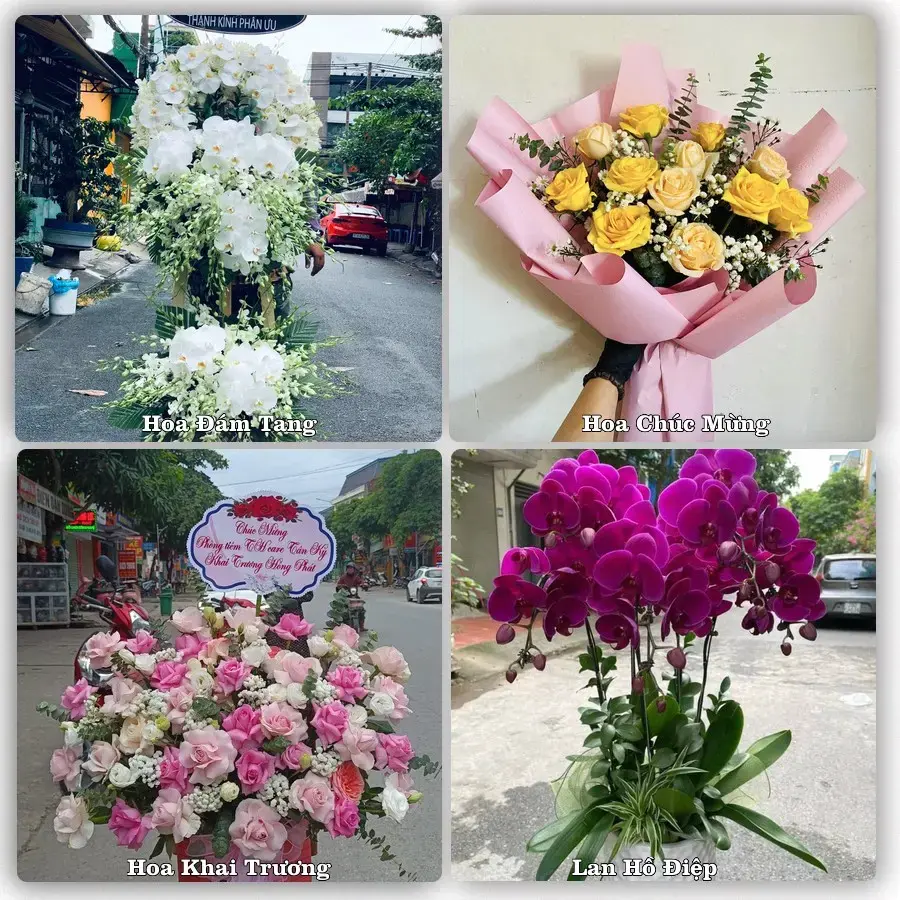 Tư vấn chọn hoa theo người nhận và dịp tặng tại Xã Đồng Sơn - Tỉnh Đồng Tháp