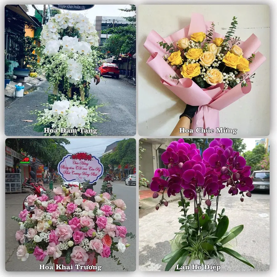 Tư vấn chọn hoa theo người nhận và dịp tặng tại Xã Đồng Sơn - Tỉnh Đồng Tháp