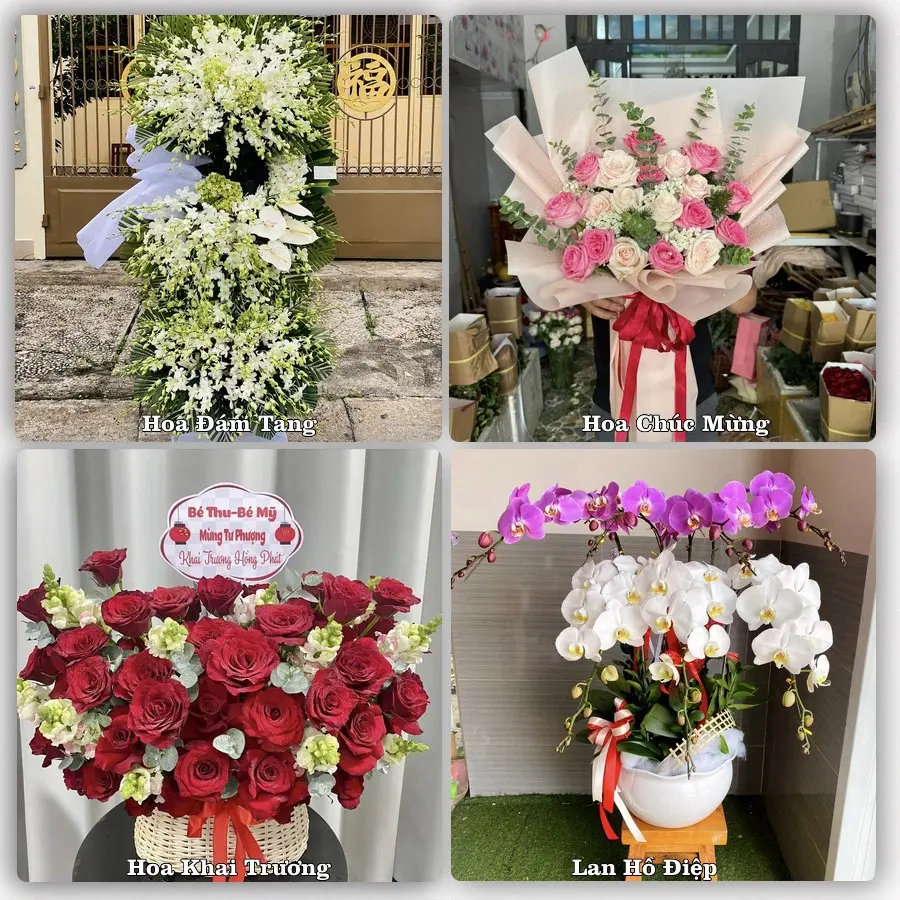 Tư vấn chọn hoa theo người nhận và dịp tặng tại Xã Đức Trọng - Tỉnh Lâm Đồng