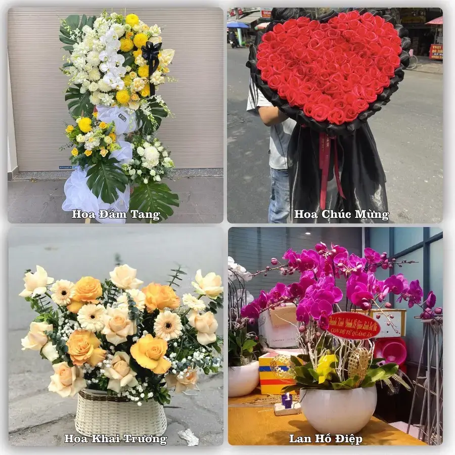 Tư vấn chọn hoa theo người nhận và dịp tặng tại Phường Gia Sàng - Tỉnh Thái Nguyên