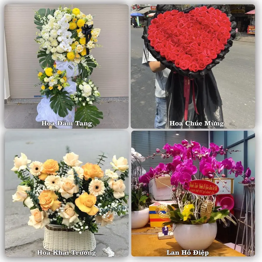 Tư vấn chọn hoa theo người nhận và dịp tặng tại Phường Gia Sàng - Tỉnh Thái Nguyên