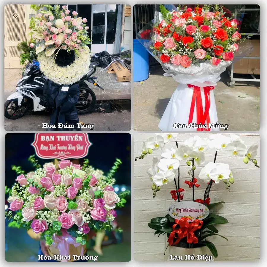 Shop hoa tươi Phường Gò Dầu, Tây Ninh – đặt hoa theo dịp, giao tận nơi