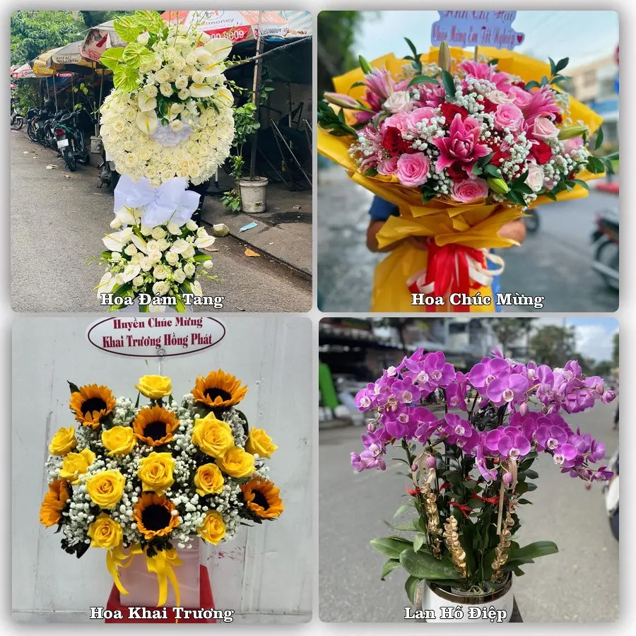 Tư vấn chọn hoa theo người nhận và dịp tặng tại Phường Gò Dầu - Tỉnh Tây Ninh