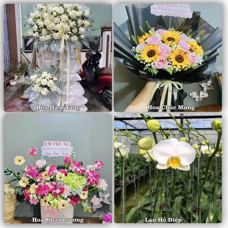 Dịch vụ đặt hoa và giao tận nơi tại Phường Nghĩa Lộ - Tỉnh Quảng Ngãi