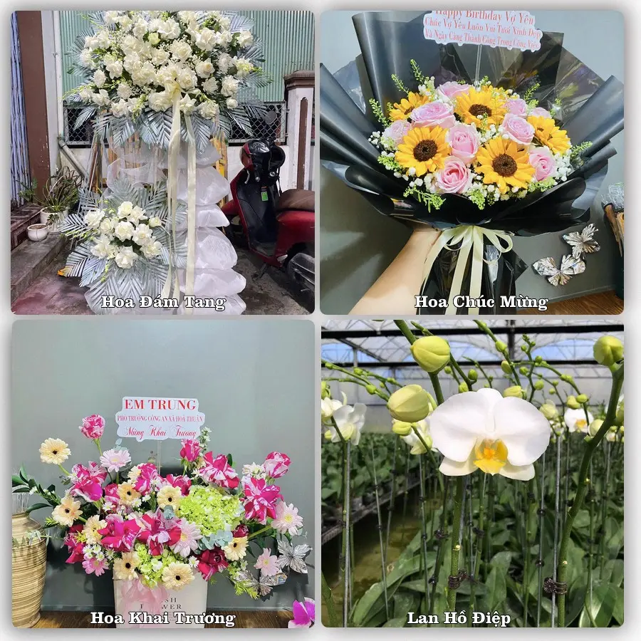 Dịch vụ đặt hoa và giao tận nơi tại Phường Nghĩa Lộ - Tỉnh Quảng Ngãi