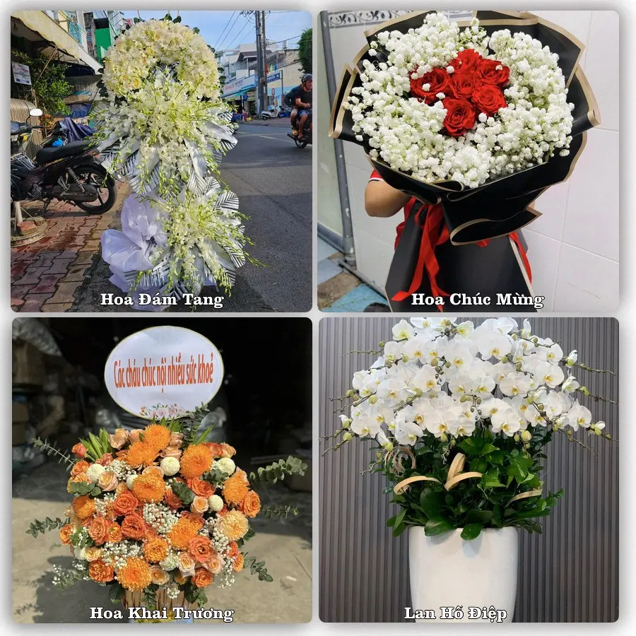 Tư vấn chọn hoa theo người nhận và dịp tặng tại Phường Nghĩa Lộ - Tỉnh Quảng Ngãi