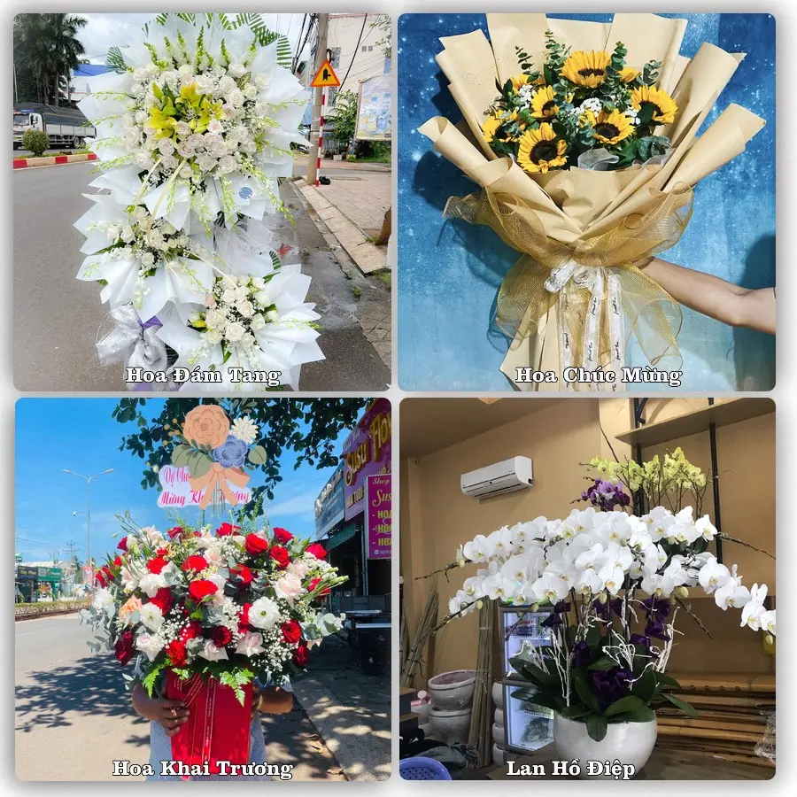 Dịch vụ đặt hoa và giao tận nơi tại Xã Thọ Phú - Tỉnh Thanh Hóa