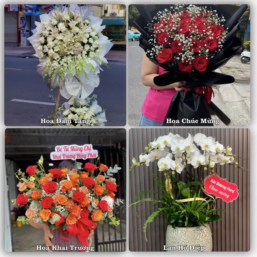 Tư vấn chọn hoa theo người nhận và dịp tặng tại Xã Thọ Phú - Tỉnh Thanh Hóa