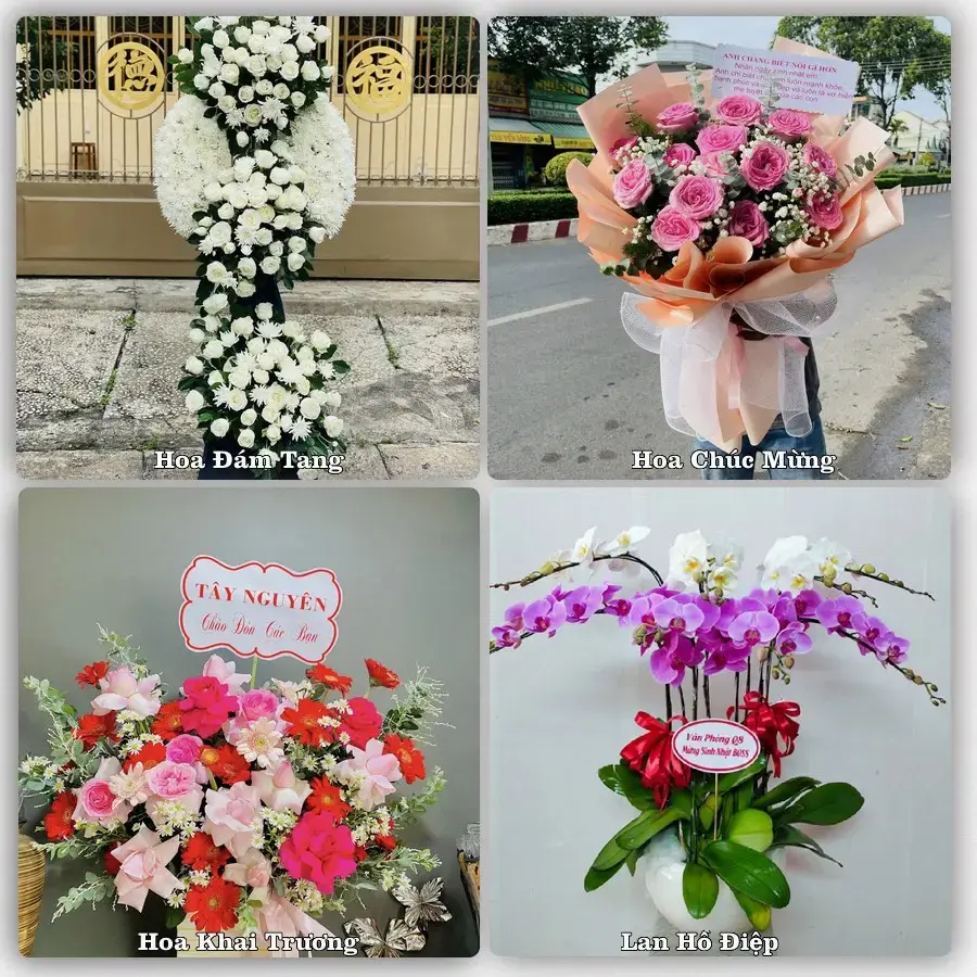 Shop hoa tươi Phường Vĩnh Trạch, Cà Mau – đặt hoa theo dịp, giao tận nơi