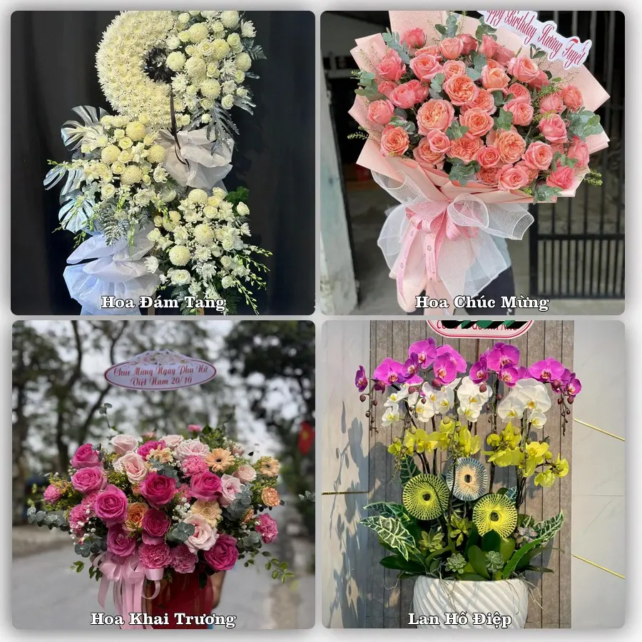 Tư vấn chọn hoa theo người nhận và dịp tặng tại Phường Vĩnh Trạch - Tỉnh Cà Mau