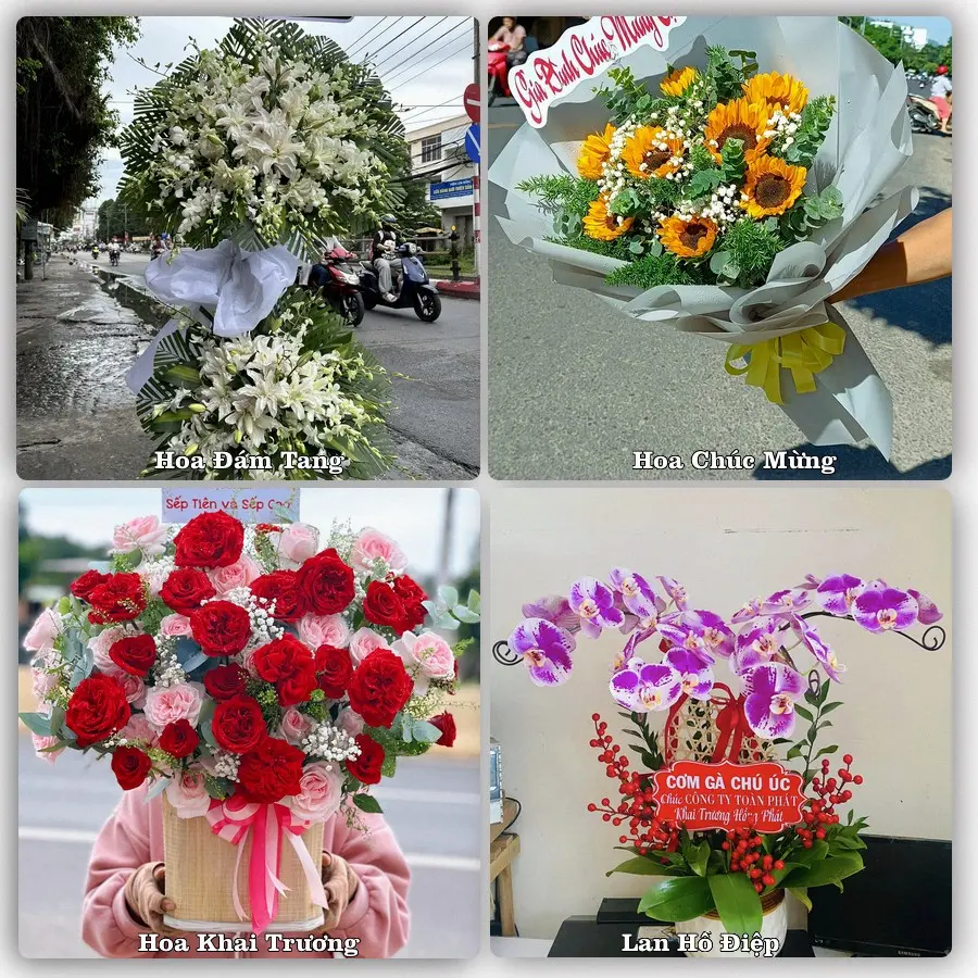 Dịch vụ đặt hoa và giao tận nơi tại Xã An Trường - Thành phố Hải Phòng