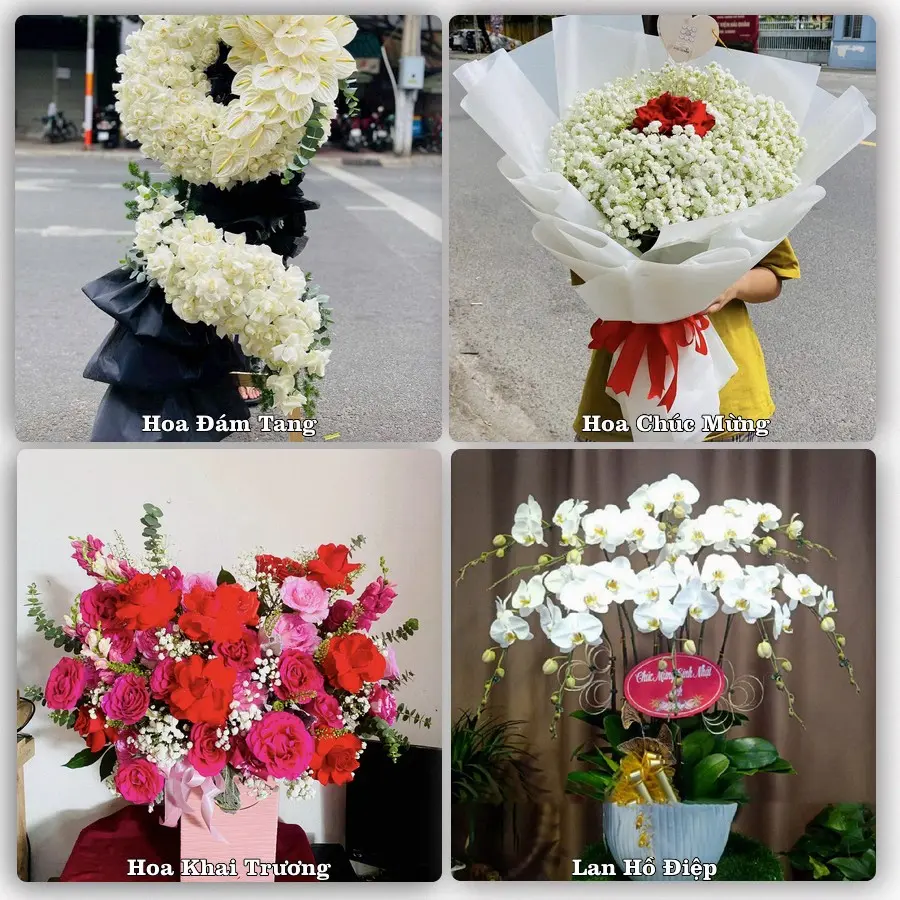 Tư vấn chọn hoa theo người nhận và dịp tặng tại Xã An Trường - Thành phố Hải Phòng