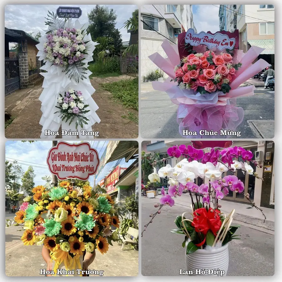 Tư vấn chọn hoa theo người nhận và dịp tặng tại Xã Bất Bạt - Thành phố Hà Nội