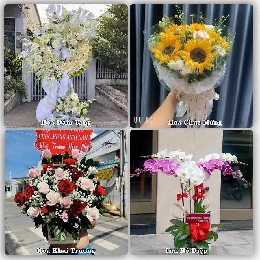 Shop hoa tươi Phường Chu Văn An, Hải Phòng – đặt hoa theo dịp, giao tận nơi