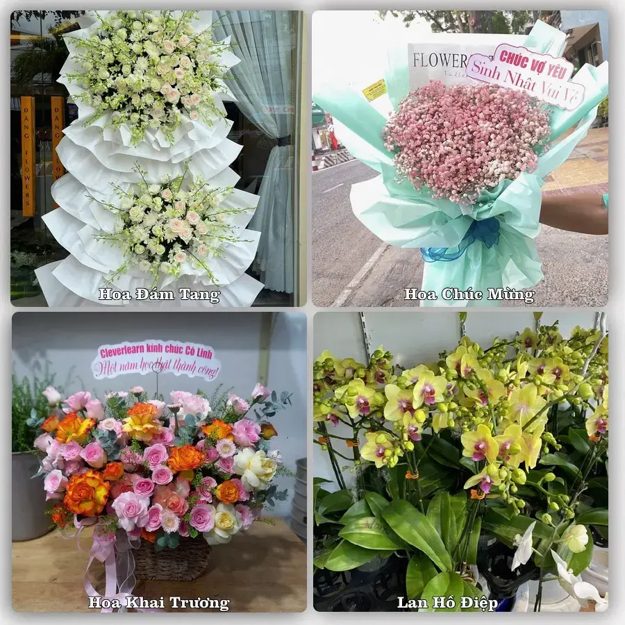 Tư vấn chọn hoa theo người nhận và dịp tặng tại Xã Hải Xuân - Tỉnh Ninh Bình