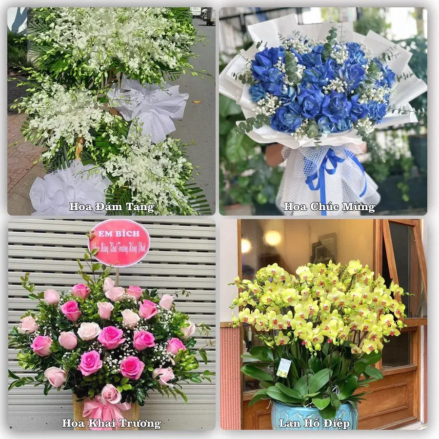 Mẫu hoa phục vụ nhu cầu đặt hoa tại Xã Hùng Châu - Tỉnh Nghệ An