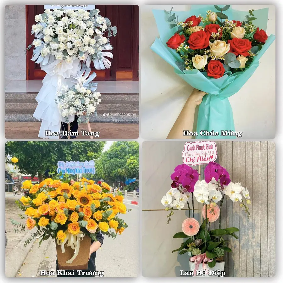 Mẫu hoa phục vụ nhu cầu đặt hoa tại Phường Mỹ Xuyên - Thành phố Cần Thơ