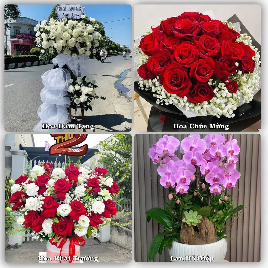 Shop hoa tươi Phường Nguyệt Hóa, Vĩnh Long – giao hoa tận nơi theo yêu cầu