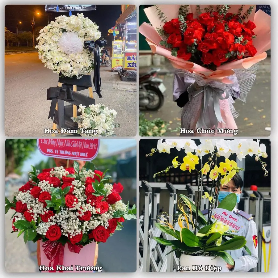 Tư vấn chọn hoa theo người nhận và dịp tặng tại Phường Nguyệt Hóa - Tỉnh Vĩnh Long