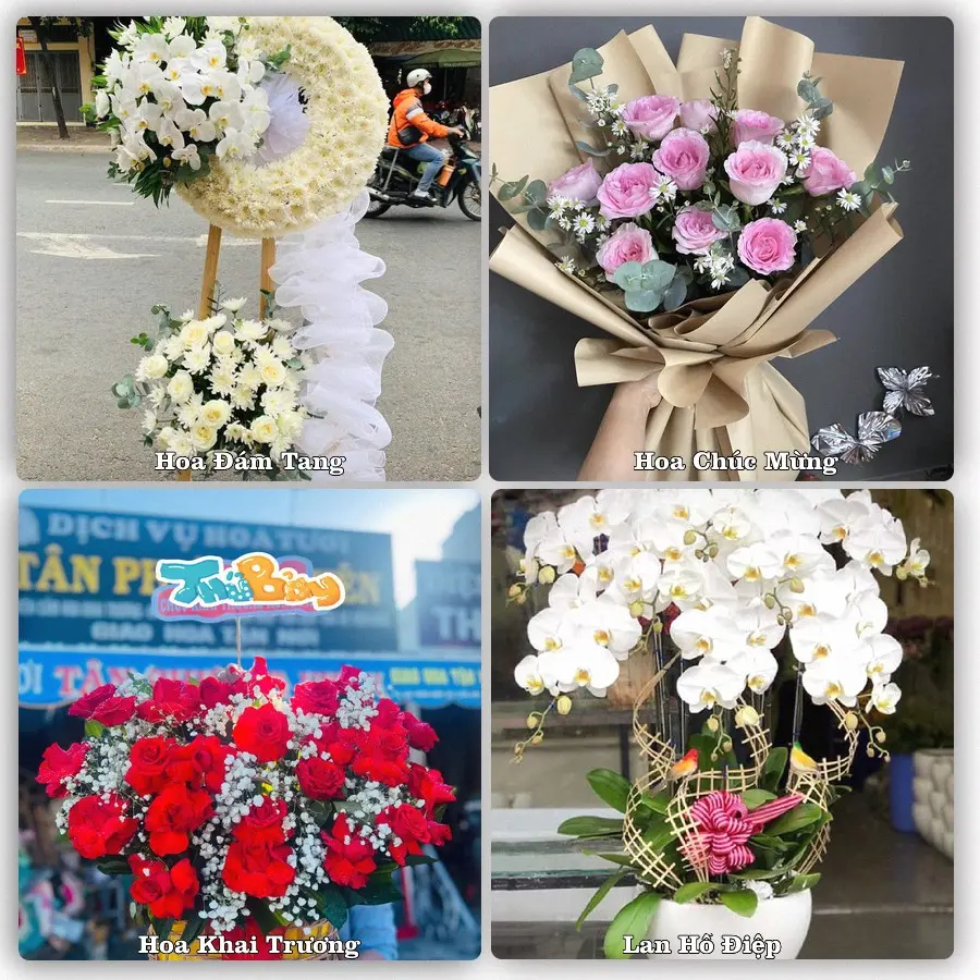 Dịch vụ đặt hoa và giao tận nơi tại Xã Ninh Giang - Thành phố Hải Phòng