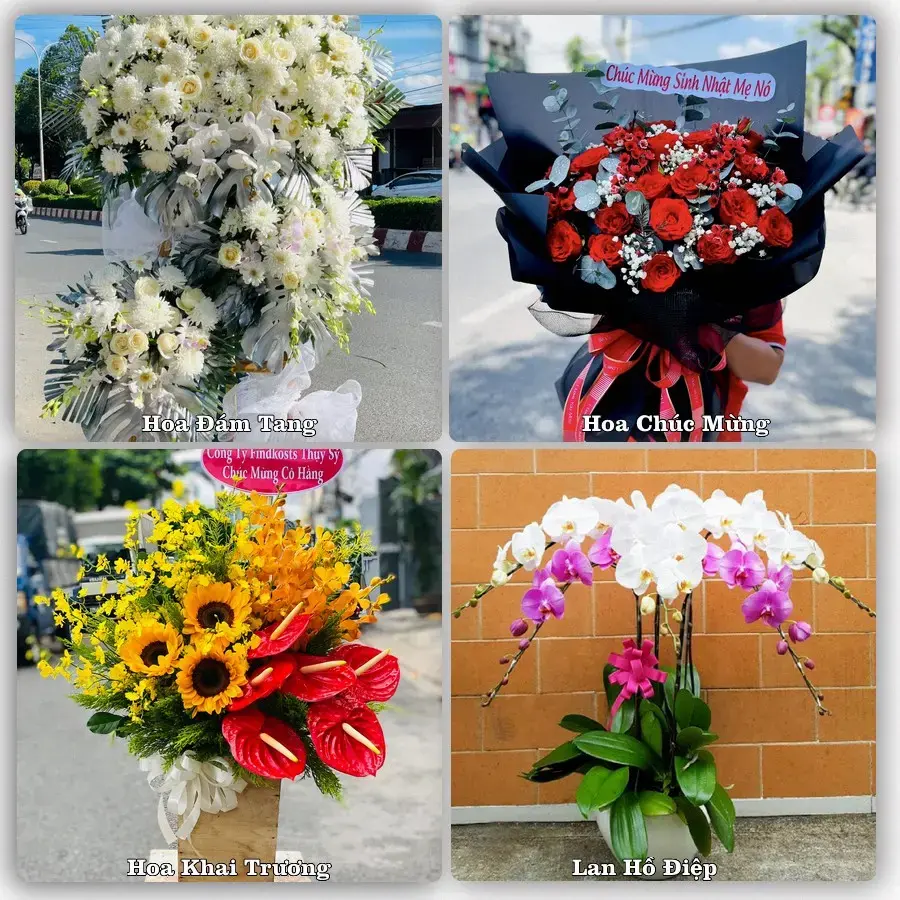 Shop hoa tươi Xã Phù Ninh, Phú Thọ – giao hoa tận nơi theo yêu cầu