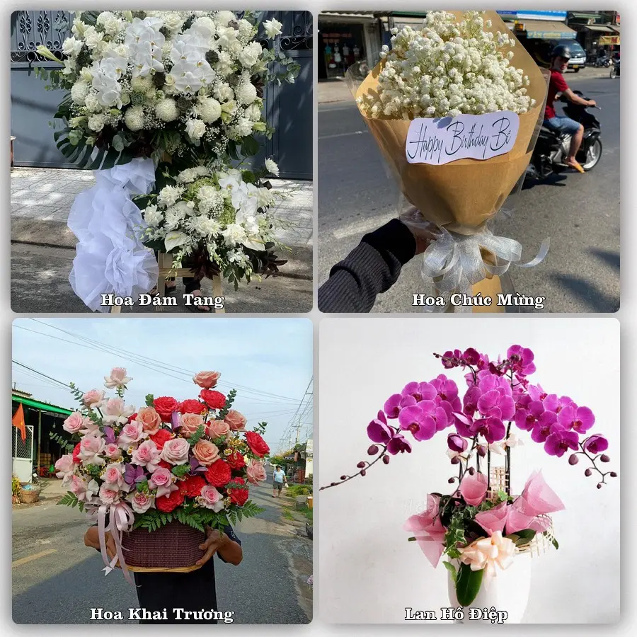 Tư vấn chọn hoa theo người nhận và dịp tặng tại Xã Phù Ninh - Tỉnh Phú Thọ