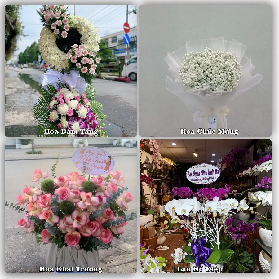 Dịch vụ đặt hoa và giao tận nơi tại Phường Sơn Nam - Tỉnh Hưng Yên