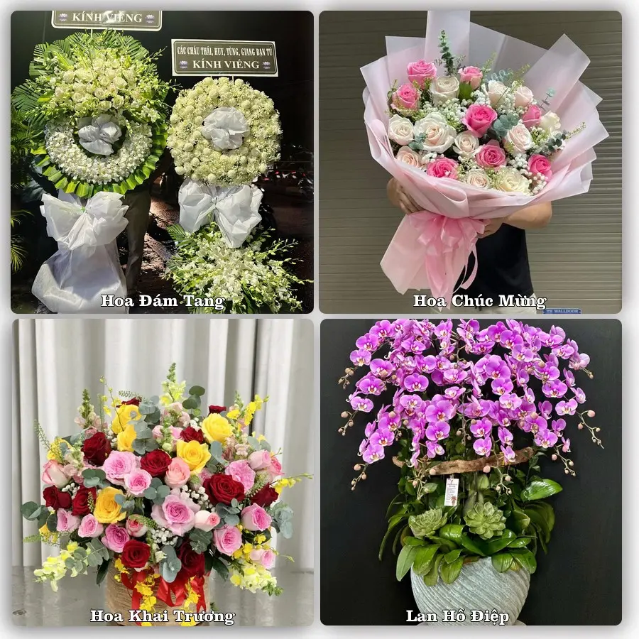 Tư vấn chọn hoa theo người nhận và dịp tặng tại Phường Sơn Nam - Tỉnh Hưng Yên
