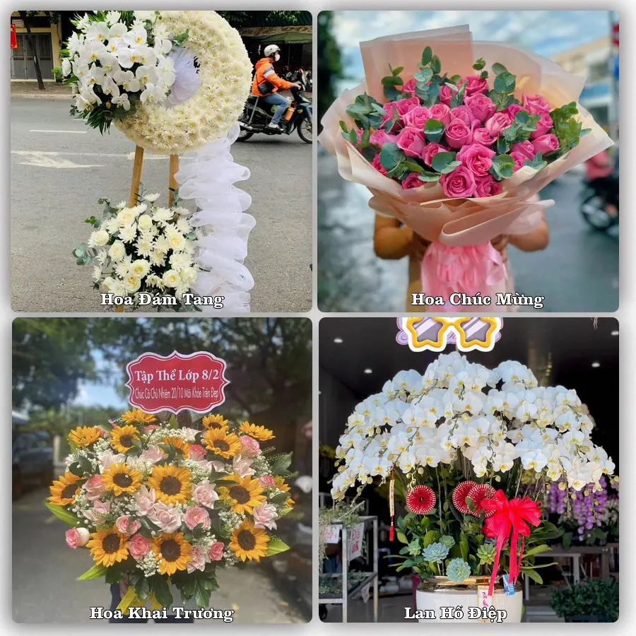Mẫu hoa phục vụ nhu cầu đặt hoa tại Xã Thường Tín - Thành phố Hà Nội