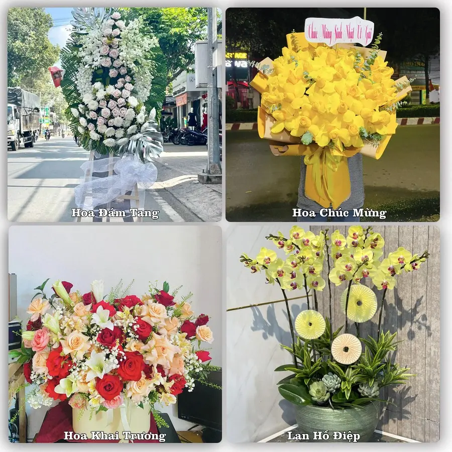 Tư vấn chọn hoa theo người nhận và dịp tặng tại Xã Thường Tín - Thành phố Hà Nội