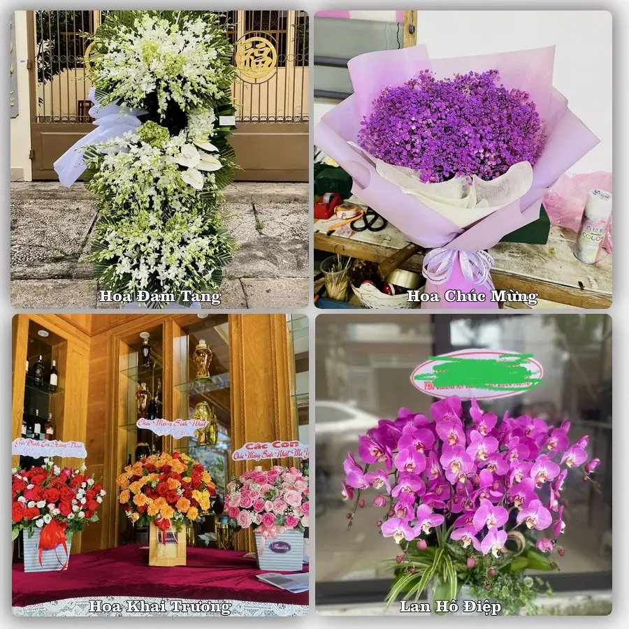 Tư vấn chọn hoa theo người nhận và dịp tặng tại Xã Yên Cường - Tỉnh Ninh Bình