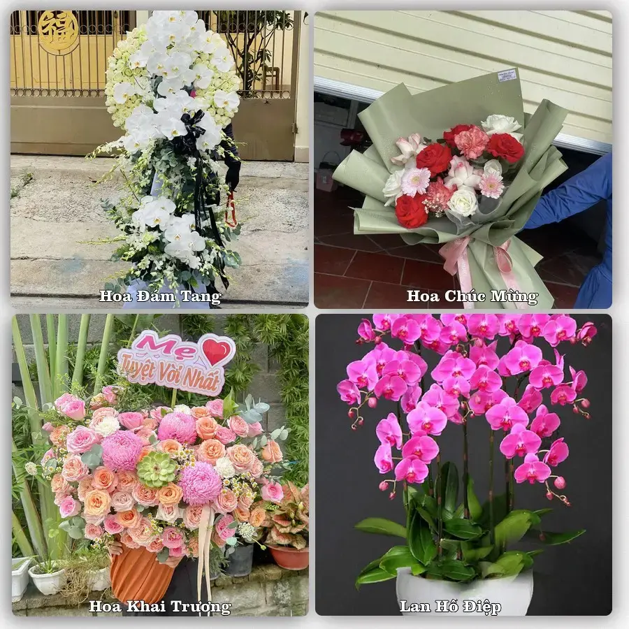 Đặt hoa tươi tại Phường Bình Kiến, Đắk Lắk – chọn mẫu theo ngân sách