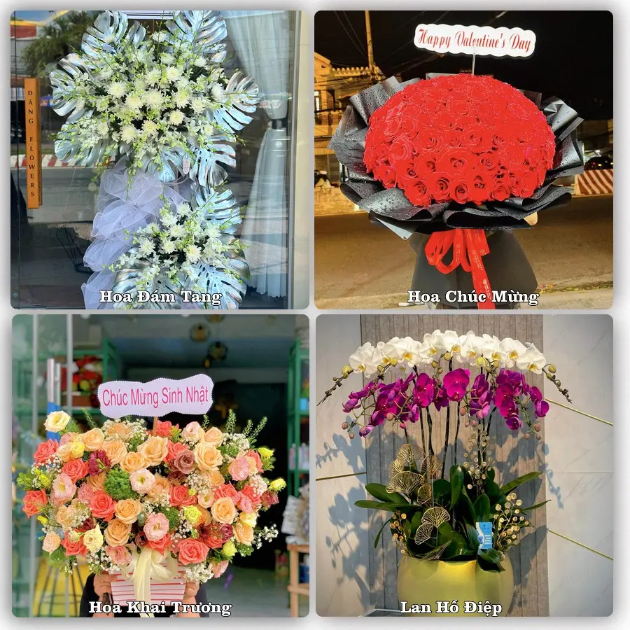 Tư vấn chọn hoa theo người nhận và dịp tặng tại Phường Bình Kiến - Tỉnh Đắk Lắk