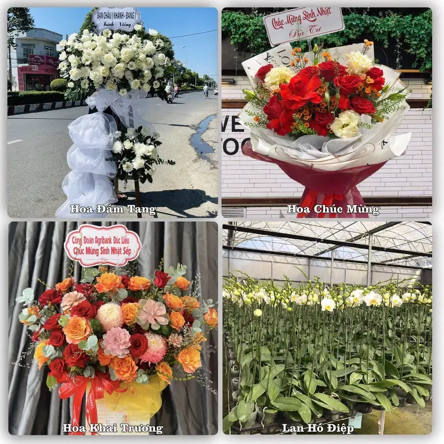 Đặt hoa tươi tại Xã Châu Phú, An Giang – chọn mẫu theo ngân sách