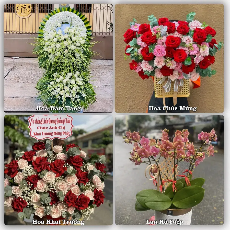 Tư vấn chọn hoa theo người nhận và dịp tặng tại Xã Châu Phú - Tỉnh An Giang