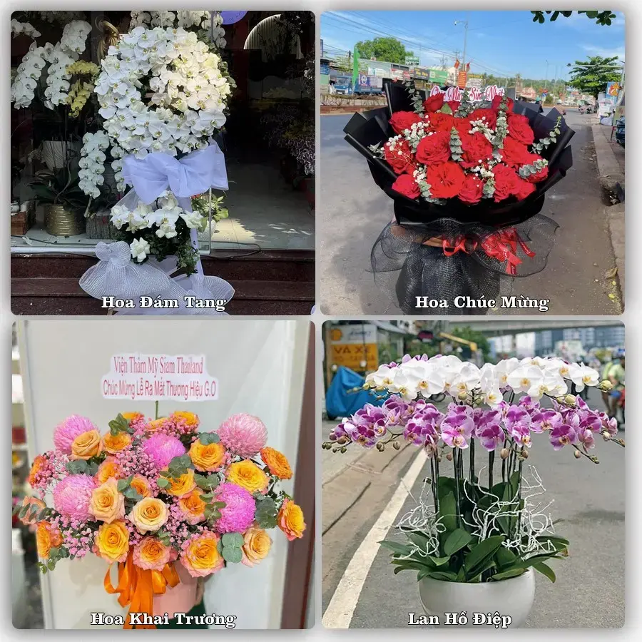 Đặt hoa tươi tại Phường Chũ, Bắc Ninh – chọn mẫu theo ngân sách