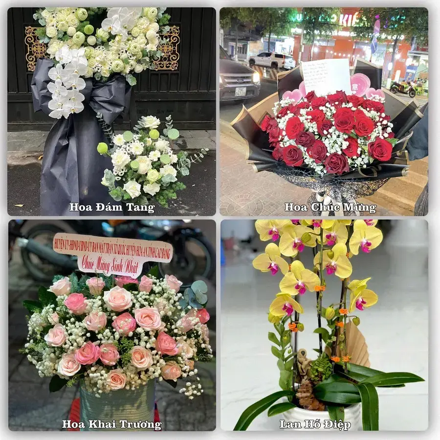 Tư vấn chọn hoa theo người nhận và dịp tặng tại Phường Chũ - Tỉnh Bắc Ninh