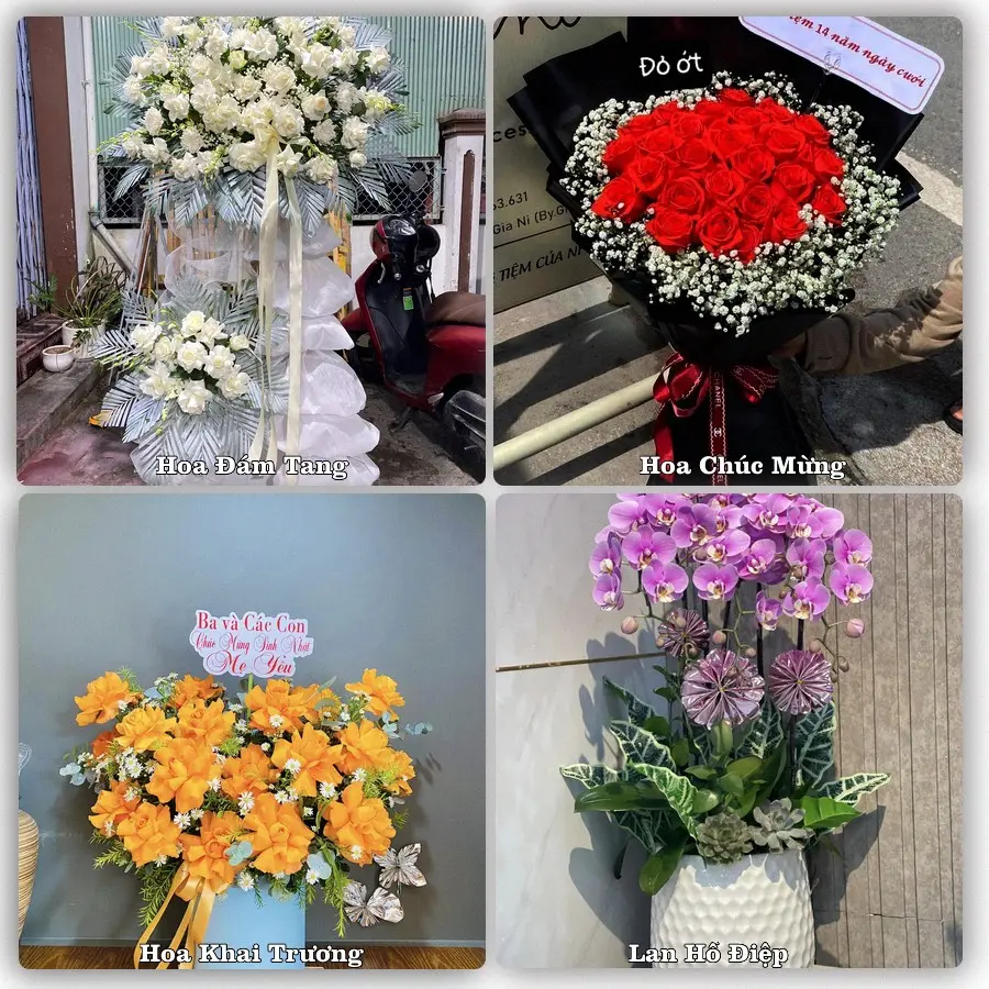 Dịch vụ đặt hoa và giao tận nơi tại Phường Hà Lầm - Tỉnh Quảng Ninh